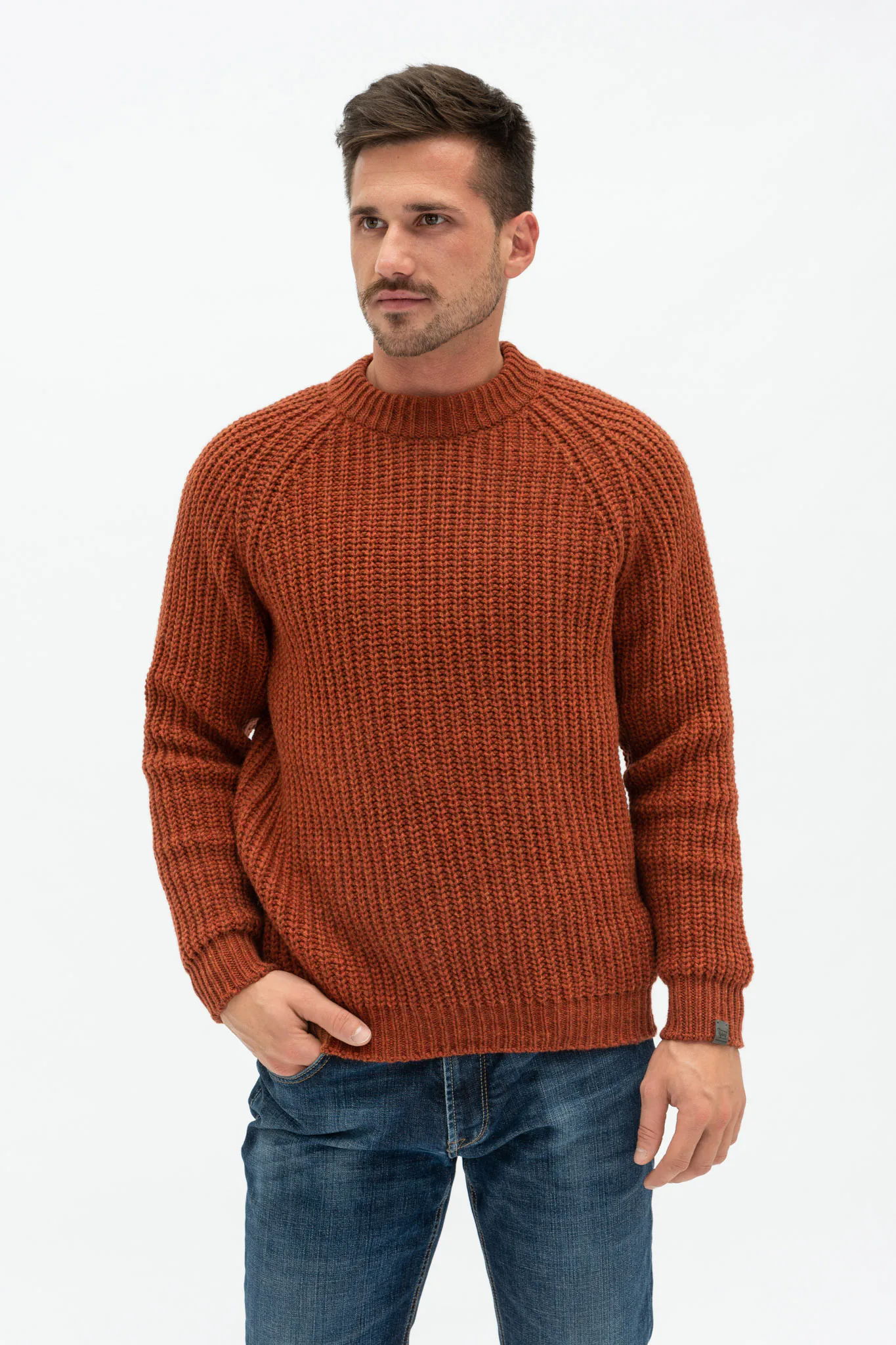 PULLOVER TORO AUS MERINOWOLLE