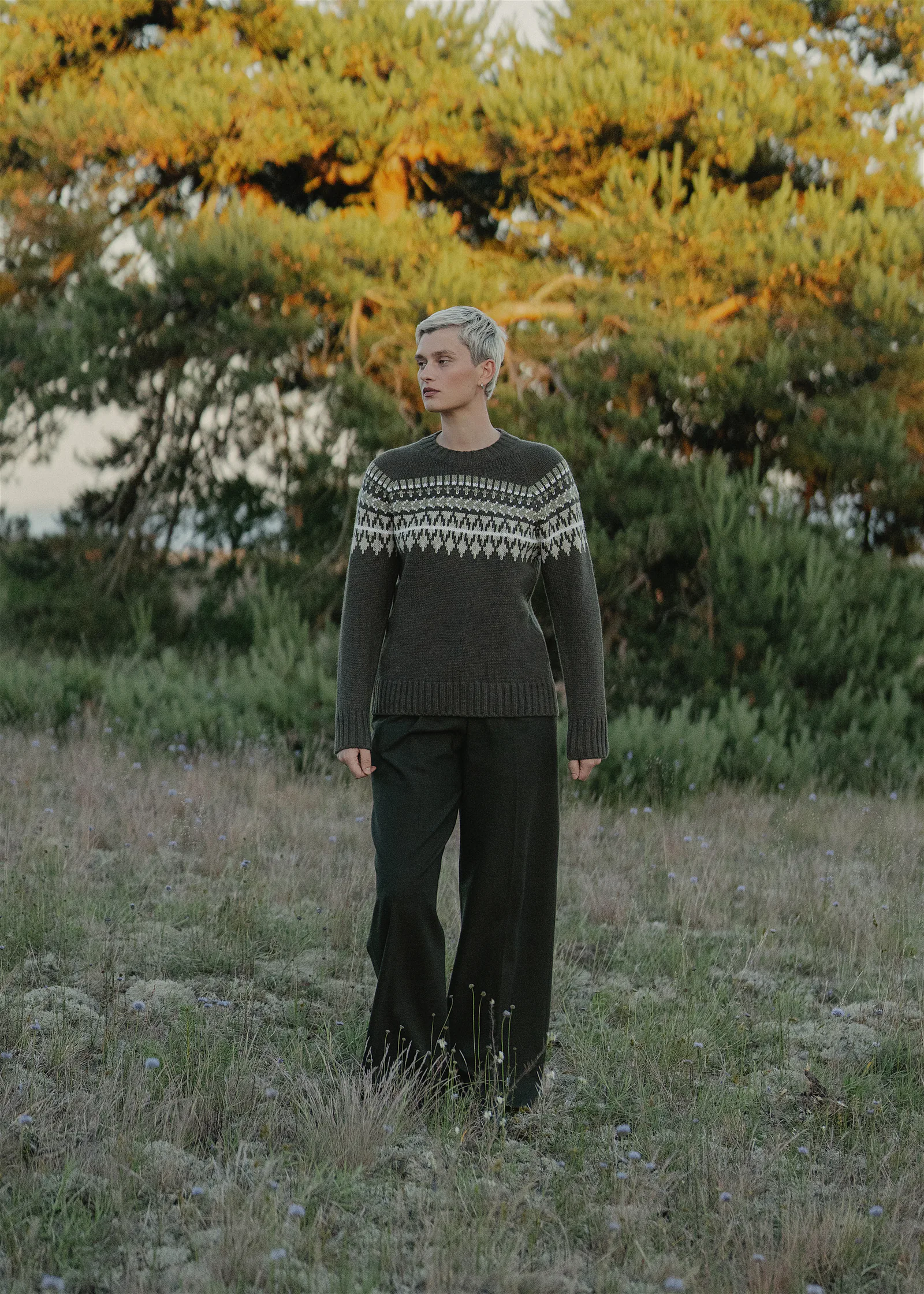 PULLOVER MOSSA AUS KASCHMIR UND MERINOWOLLE